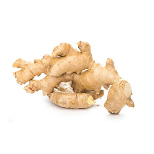 Jengibre / Ginger